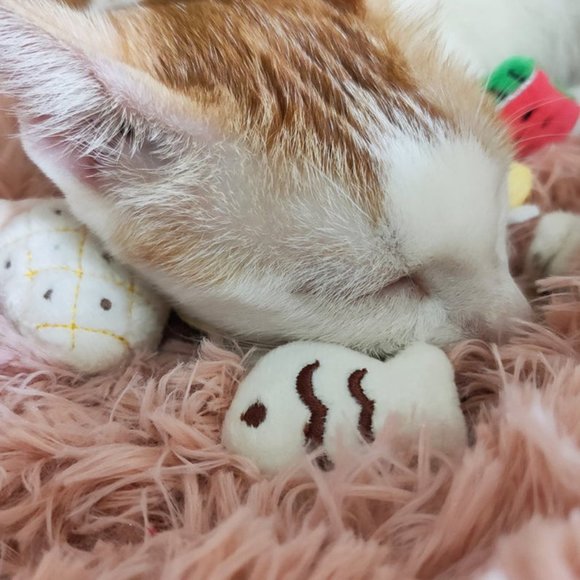 Kitten Catnip Toy - Picture 3 of 10